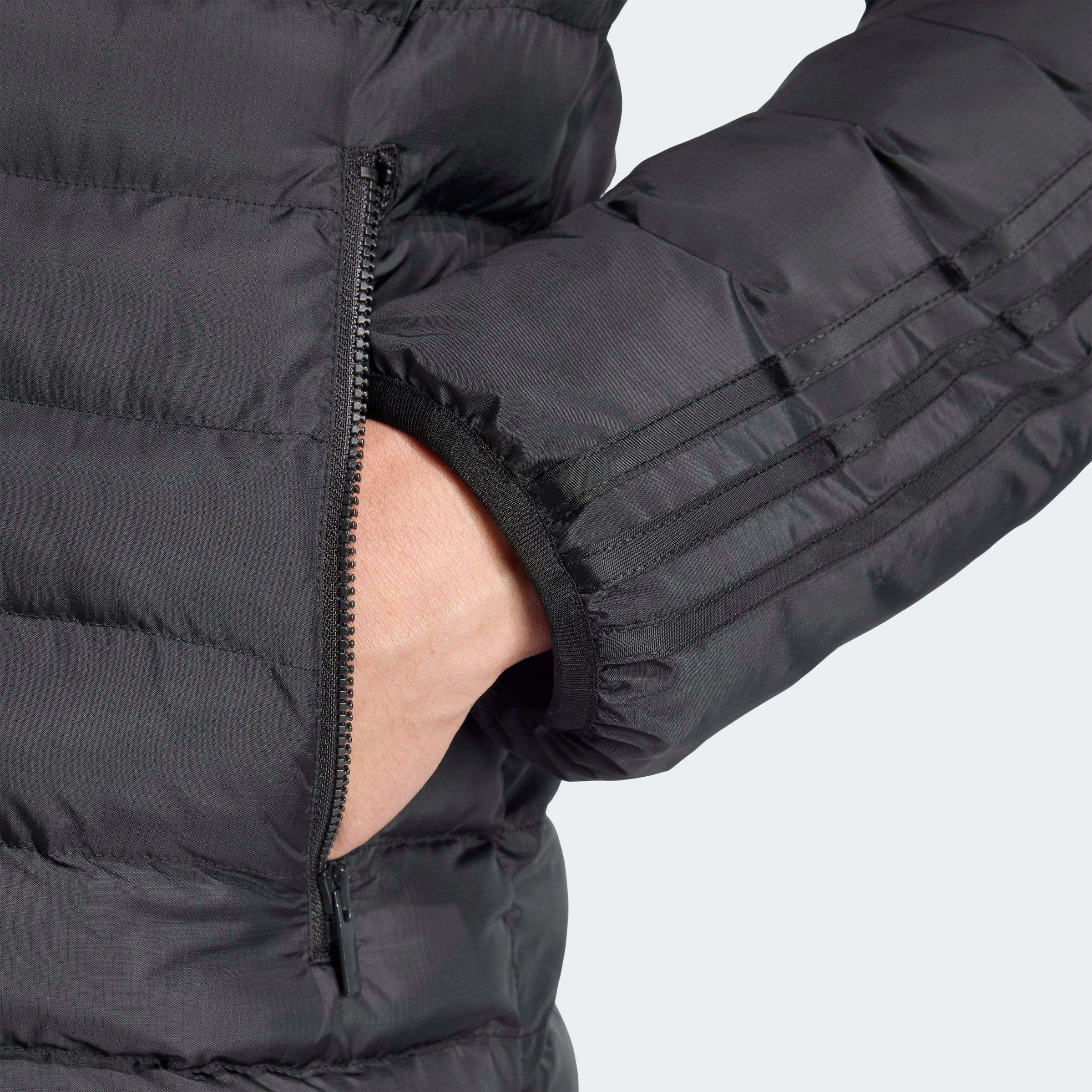 PADDED COLLAR ז'קט - Image 5